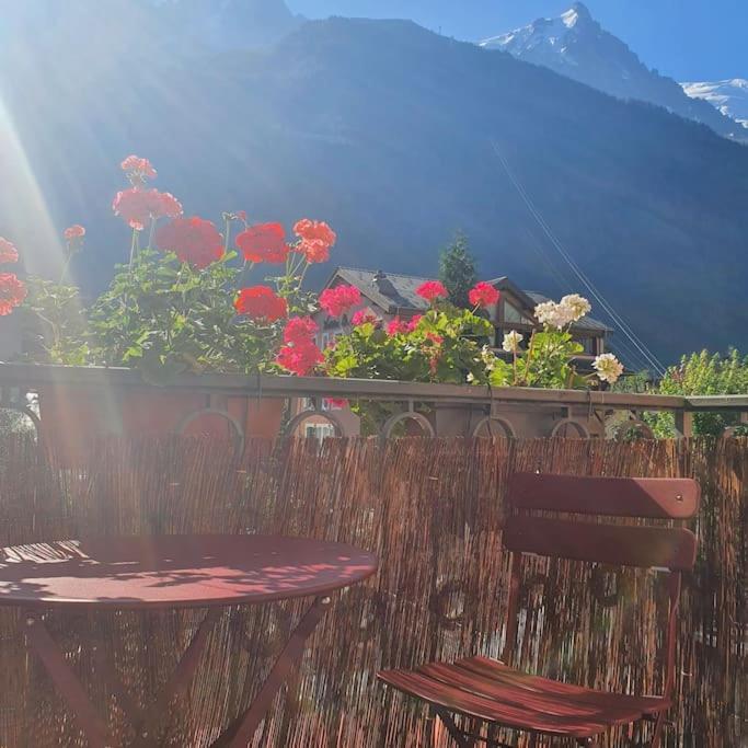 Studio Limbo Chamonix Hyper Centre Vue Imprenable Sur Le Mont-Blanc Zewnętrze zdjęcie
